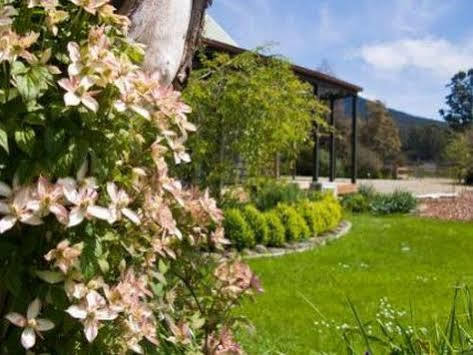 Parnella Kettering Apartment Bagian luar foto